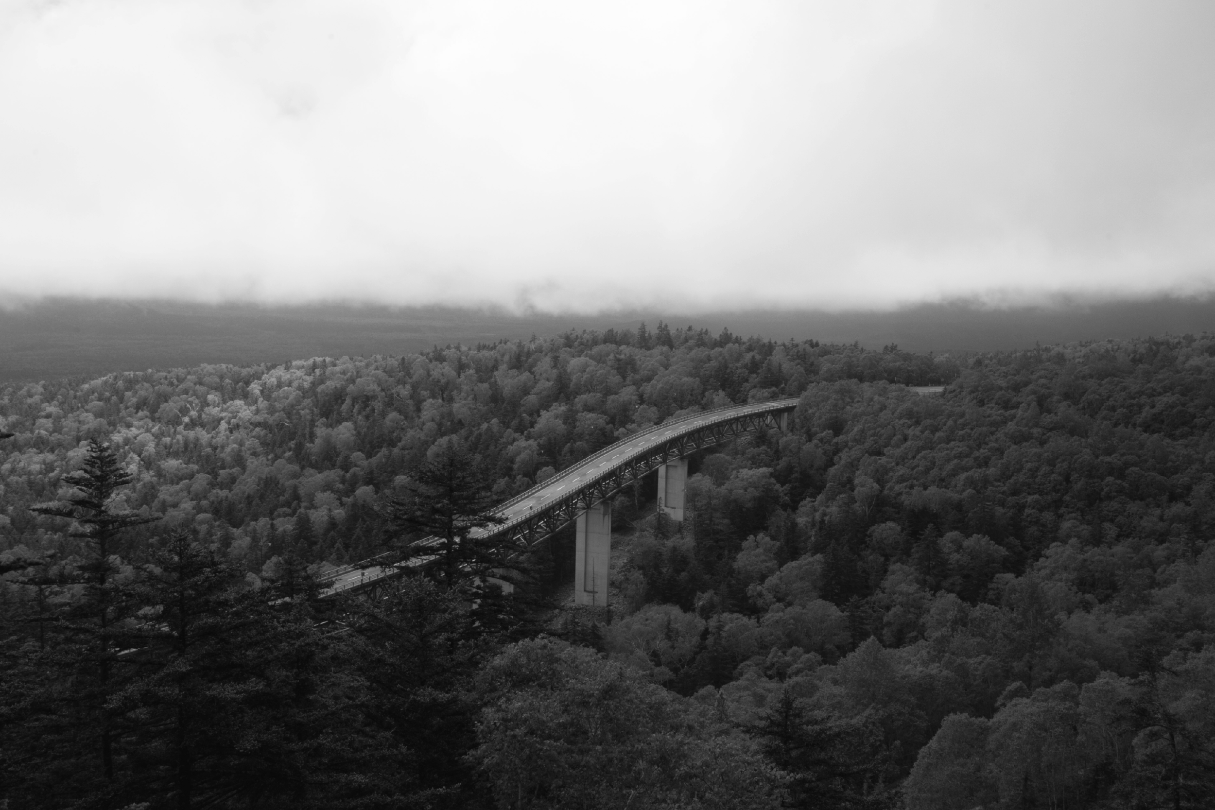 Conferista - 北海道の風景